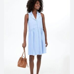 Tuckernuck Oxford sleeveless royal shirtdress